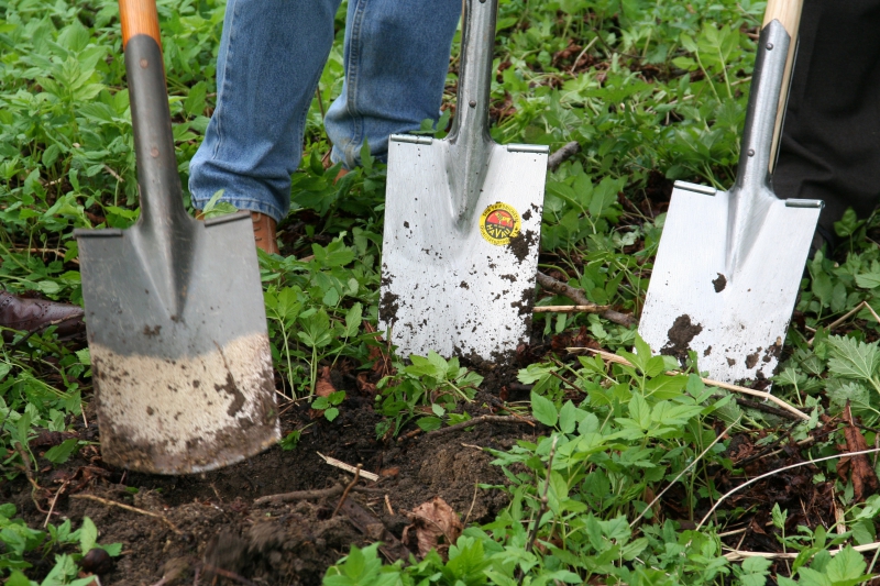 pepiniere-AIGLUN-min_work-lawn-flower-tool-green-backyard-1103633-pxhere.com